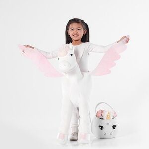 Pottery Barn Kids Pegasus Unicorn Halloween Costume Size Small (3T)